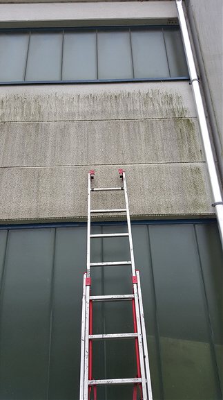 Betonfassade Urzustand Ziel Entfernung von Algen